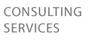 apopsi consulting logo
